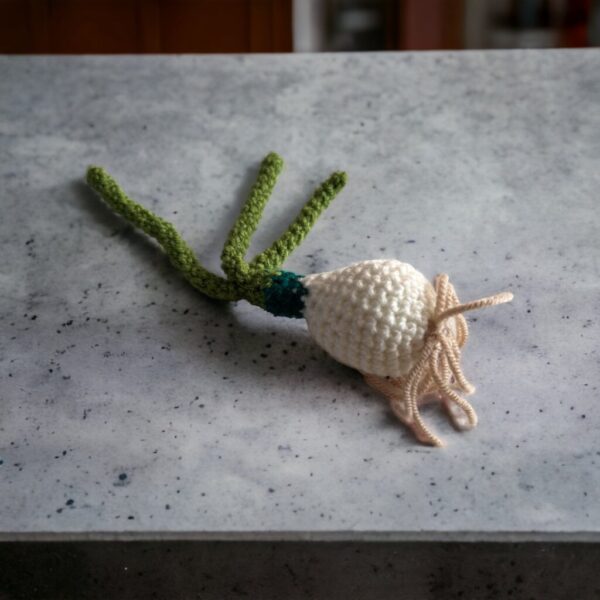 Crochet Spring Onion