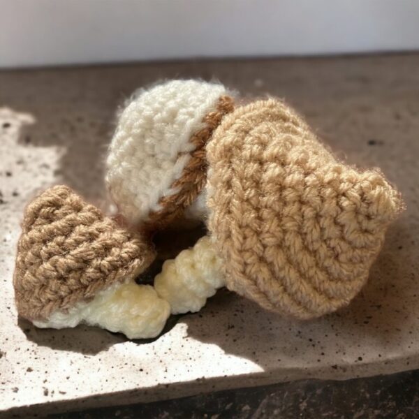Crochet Mushrooms