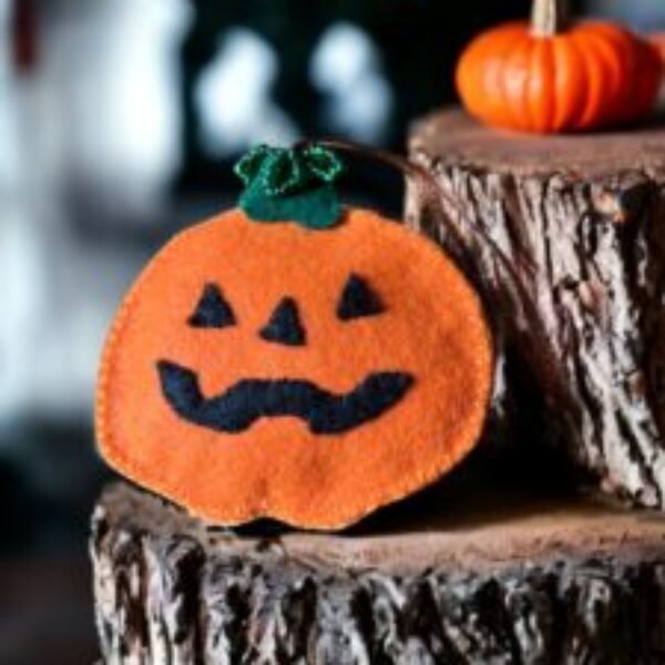 Pumpkin felt Halloween decoration