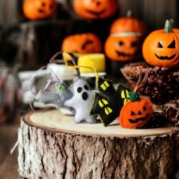 felt Halloween decorations. Set of four.
